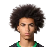 Virgil Gonçalves